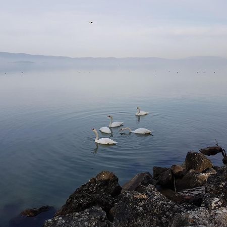 Antica Casa Di Famiglia Hotel Castiglione del Lago Kültér fotó