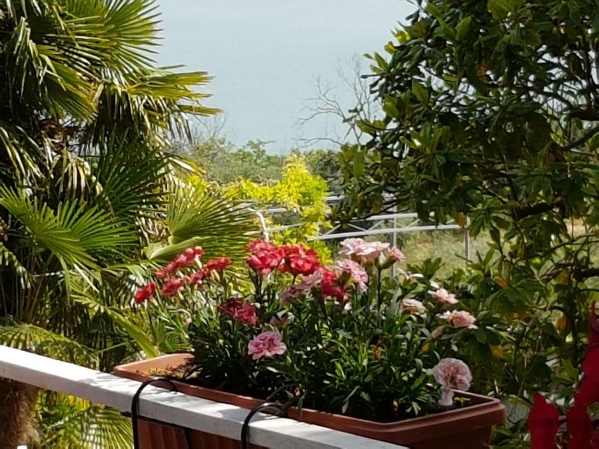 Antica Casa Di Famiglia Hotel Castiglione del Lago Kültér fotó