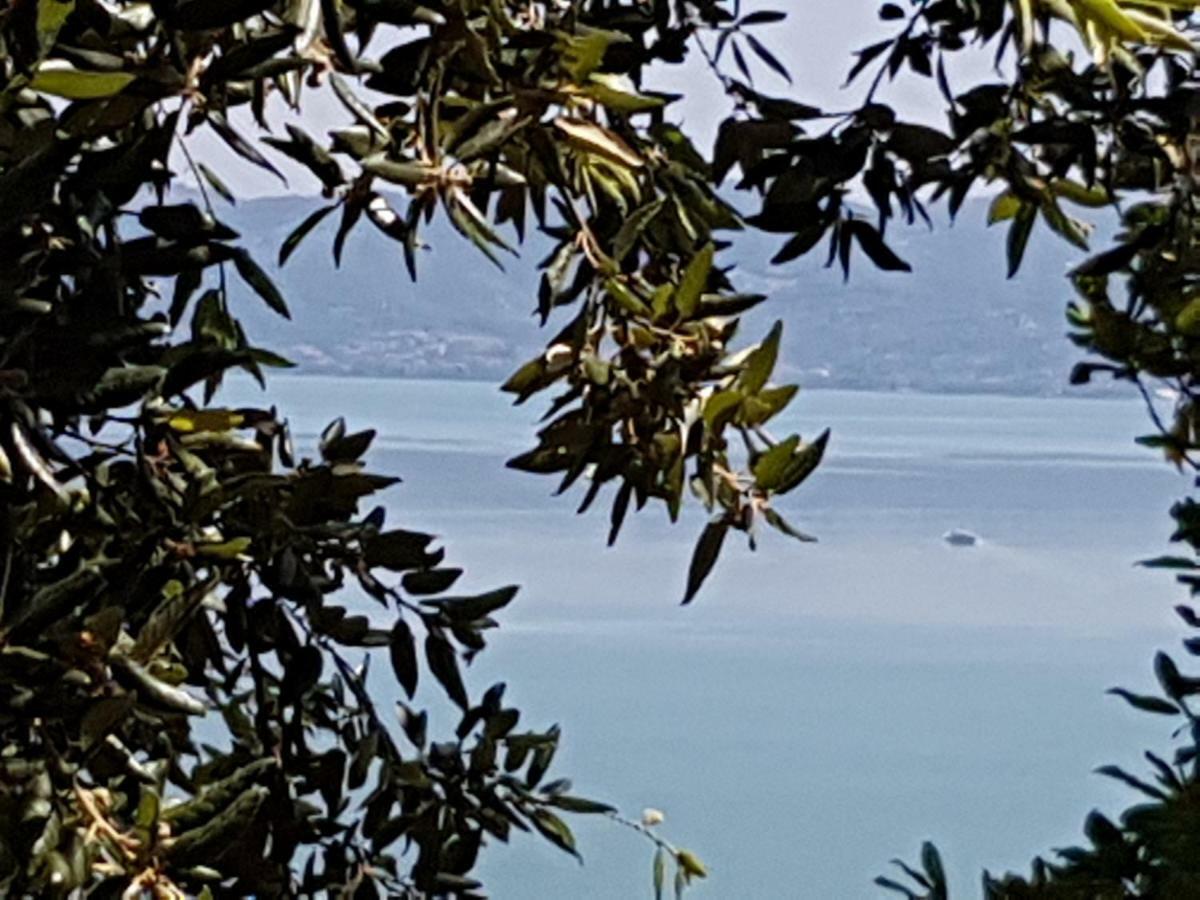 Antica Casa Di Famiglia Hotel Castiglione del Lago Kültér fotó