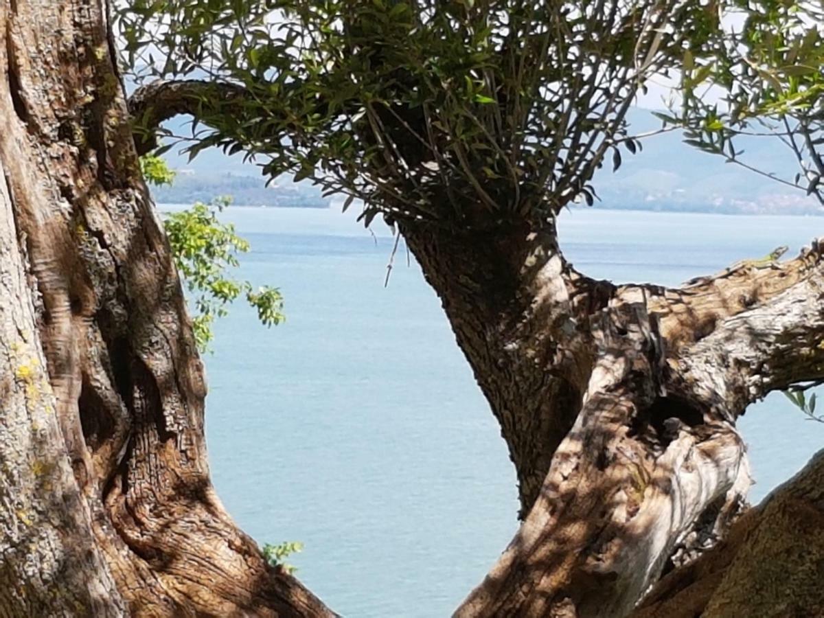 Antica Casa Di Famiglia Hotel Castiglione del Lago Kültér fotó